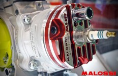 Malossi C-One Cylinder Kit